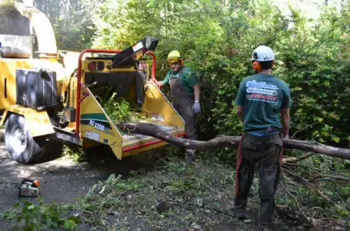 tree services Wanatah